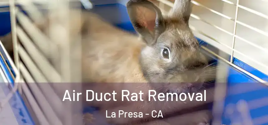  Air Duct Rat Removal La Presa - CA