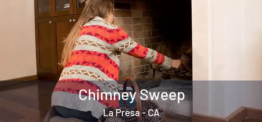  Chimney Sweep La Presa - CA