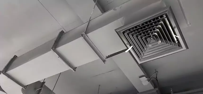 Restorative Allergy Relief Vent Cleaning – Coil, Blower & Housing Detail in La Presa