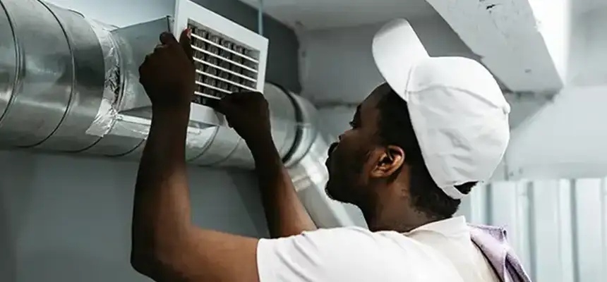 Our Licensed And Insured Cleaners in La Presa, CA