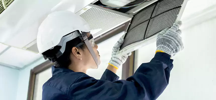 Our Mold & Mildew Removal from Air Ducts Services in La Presa, CA