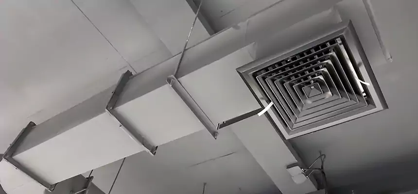 Our Pest Removal From Ducts Services in La Presa, CA