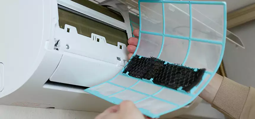 Gentle Ductwork Odor-Control Pet Dander Duct Cleaning in La Presa, CA