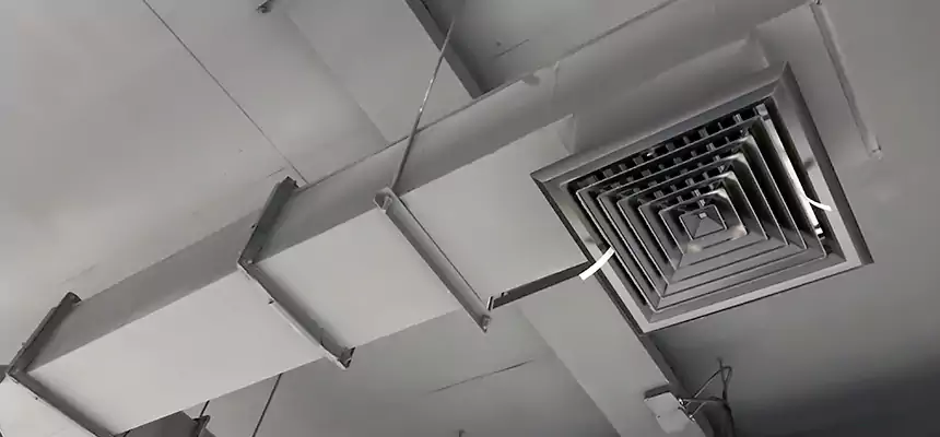 Our Rodent Droppings In Vents Services in La Presa, CA