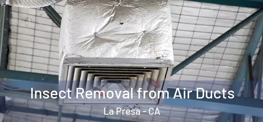  Insect Removal from Air Ducts La Presa - CA