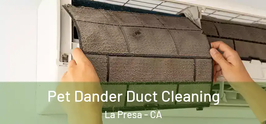 Pet Dander Duct Cleaning La Presa - CA