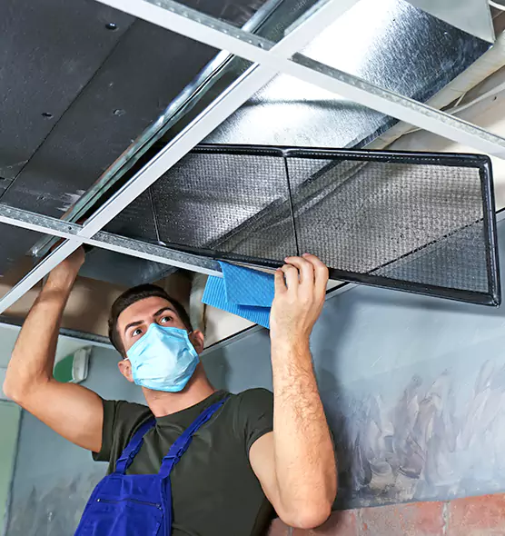 About Air Duct Bacteria Removal in La Presa
