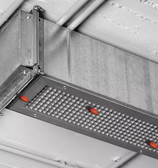 About Air Duct Cockroach Removal in La Presa, CA