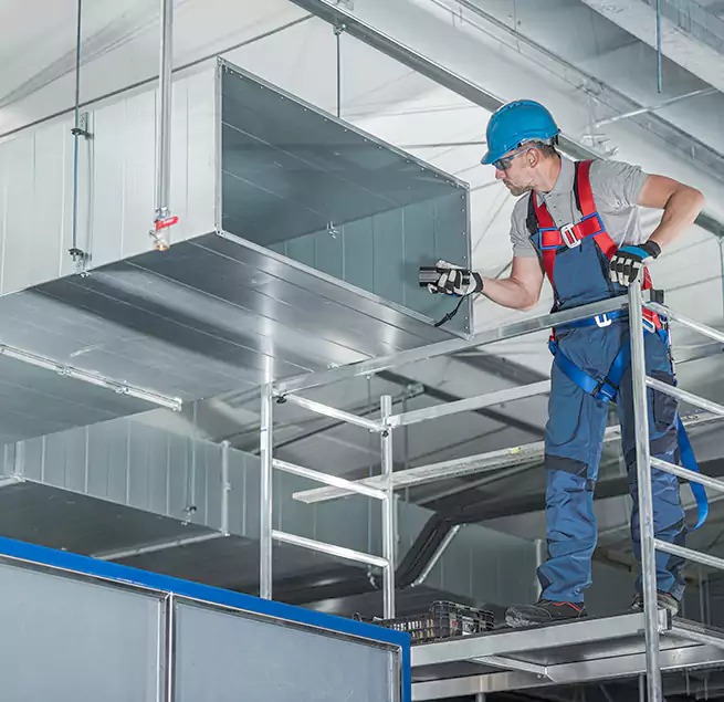 Why Homeowners & Businesses Trust Us in La Presa, CA?