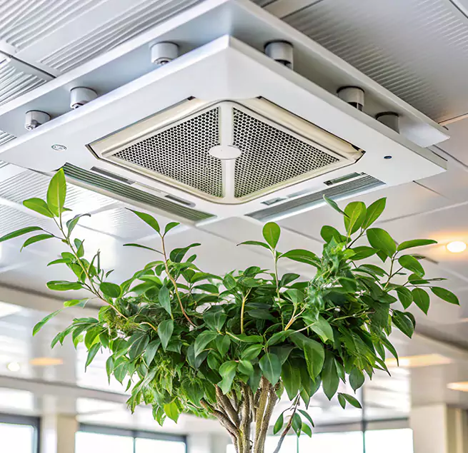 Why Homeowners & Businesses Trust Us in La Presa, CA?