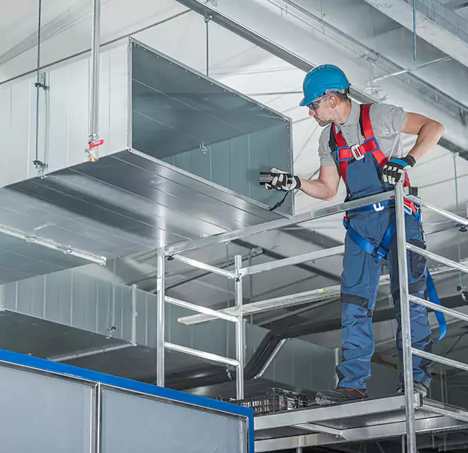 Why Homeowners Businesses Trust Us in La Presa, CA