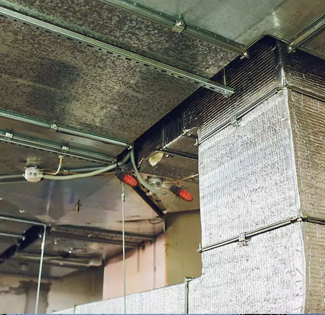 Why Homeowners & Businesses Trust Us La Presa, CA?