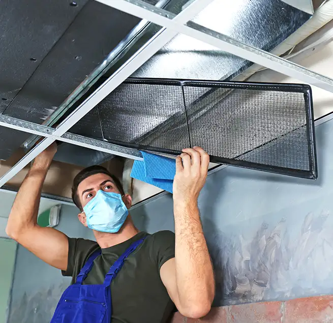 Why Homeowners & Businesses Trust Us in La Presa, CA?